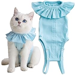 Cat Recovery Suit for Abdominal Wounds and Skin