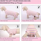 PUMYPOREITY Recovery Suit After Surgery Dog Post Operative Shirt Pink XS view 7
