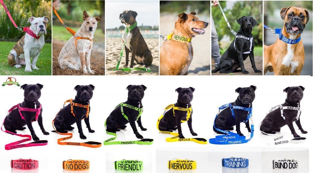 Dexil Limited DO NOT PET Red Colour Coded 60cm 120cm 180cm Padded Dog Lead PREVENTS Accidents By Warning Others of Your Dog in Advance (120cm) - Image 4