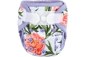 SIGZAGOR Newborn Baby Cloth Diaper Cover Nappy Hook and Loop (Hummingbirds Flowers)