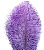 Lampu 10pcs Ostrich Feathers 12-14