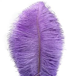 Lampu 10pcs Ostrich Feathers 12-14