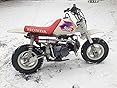 Amazon.com: TMS Lifan 125cc 1P52FMI-K Engine Dirt Bike ... cl70 wiring diagram 
