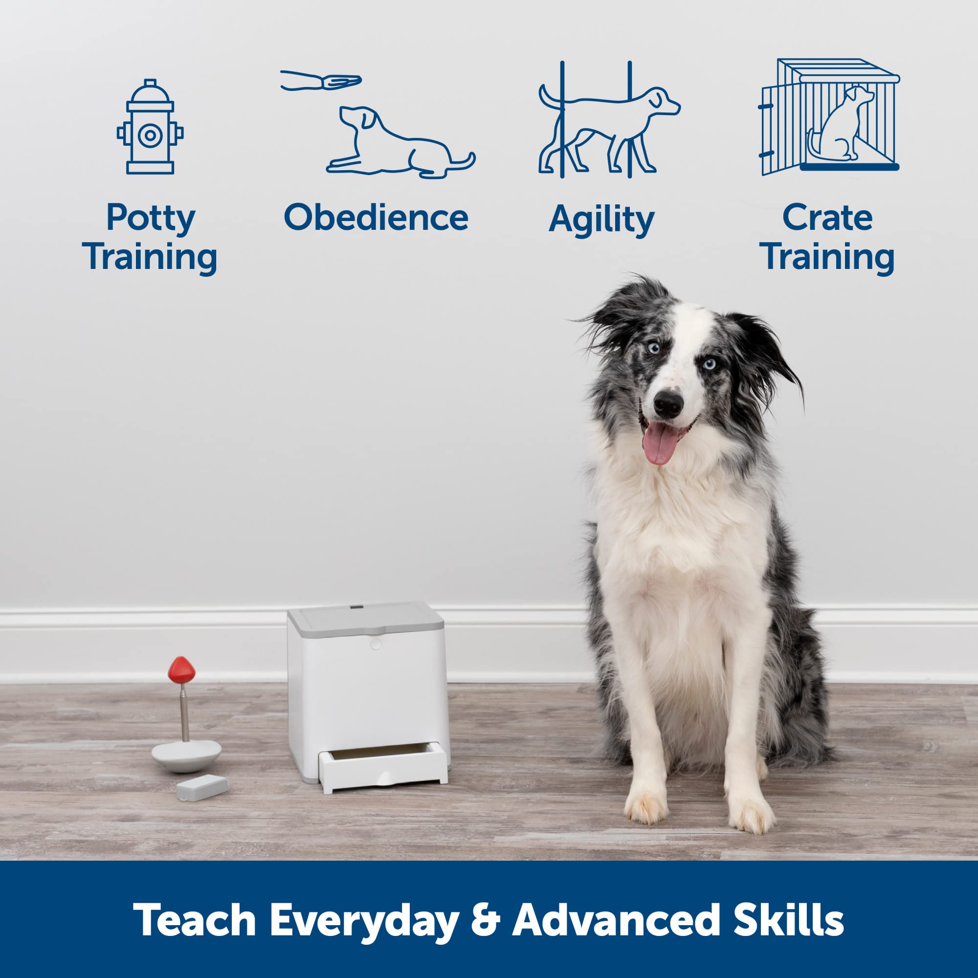 PetSafe Teach & Treat Remote Reward Trainer – Remote Treat Dispenser for Dogs – Portable Training Tool