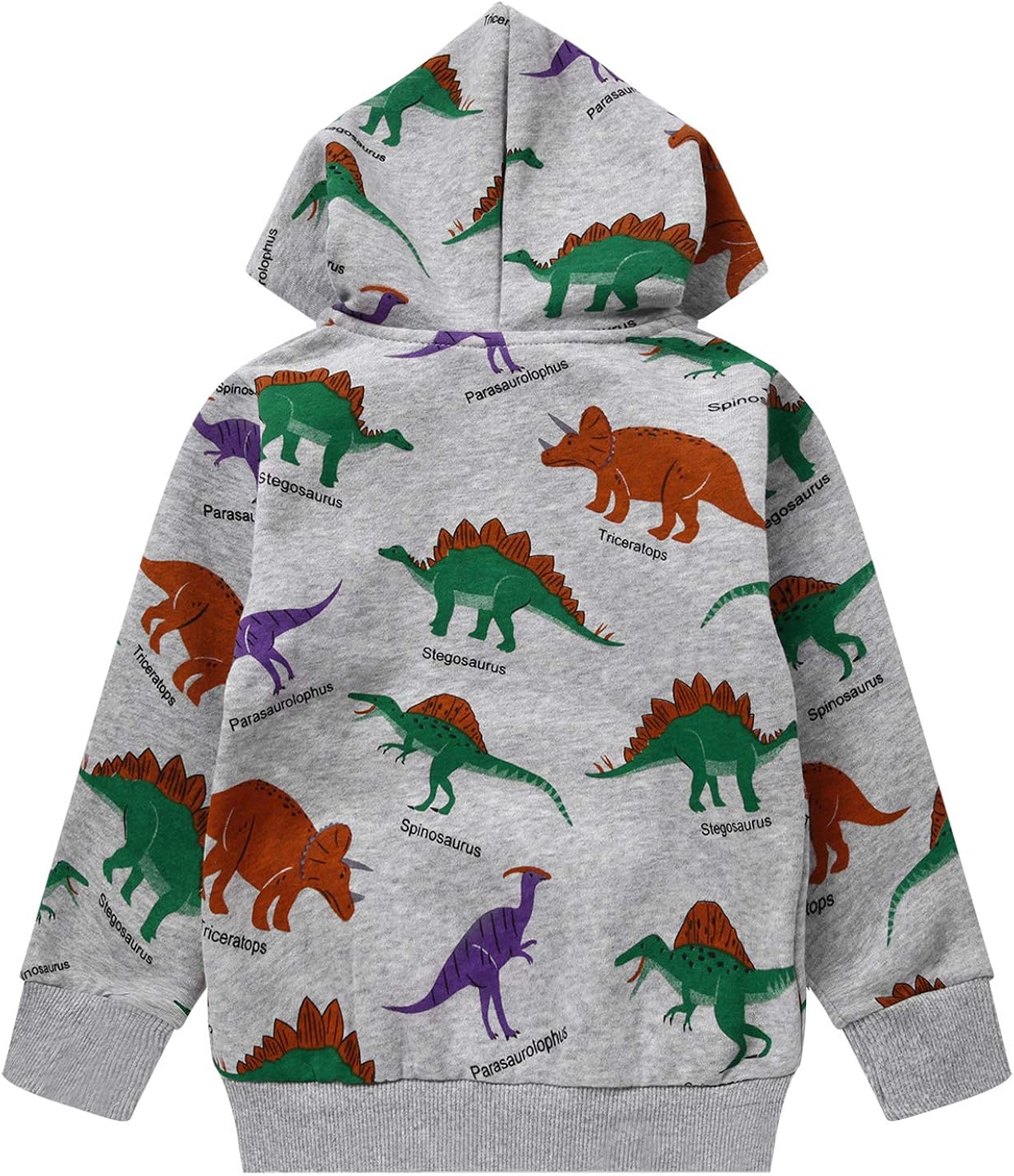 Toddler Boys Dinosaur Sweatshirts Cartoon Winter Long Sleeve Kids Sport Outdoor Pullover Tops Tees 2T-8T: Clothing