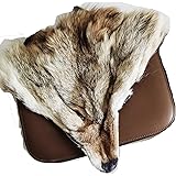 71bie3181yL. AC UL160 SR160,160 Understanding Voodoo Rituals: Purpose, Process, and Spiritual Significance