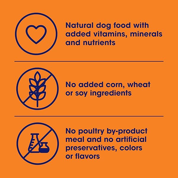 NATURE’S RECIPE WET DOG FOOD, CHICKEN IN BROTH RECIPE, 2.75 OUNCE CUP (PACK OF 12) PACKAGE MAY VARY
