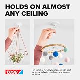 Tesa Ceiling Hook for Wallpaper & Plaster, Holds 500g - 77781-00000-00 view 5