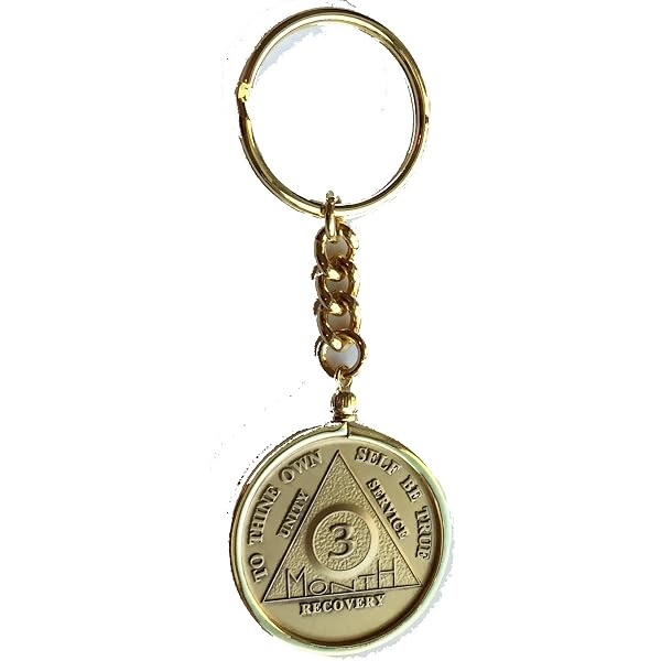 Rule 62 AA Sobriety Chip Keychain - Don't Take Yourself Too Damn Serious Medallion, Bronze Key Tag