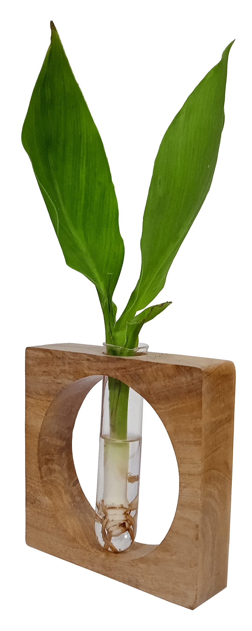 Purpledip Wooden Tabletop Planter For Indoor Outdoor Use: Unique Plant Vase Flower Pot With Supporting Tube (12630)