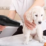 Wahl Hair Dryer with Stand 1800W Hands Free 3 Heat Settings Cool Shot view 5