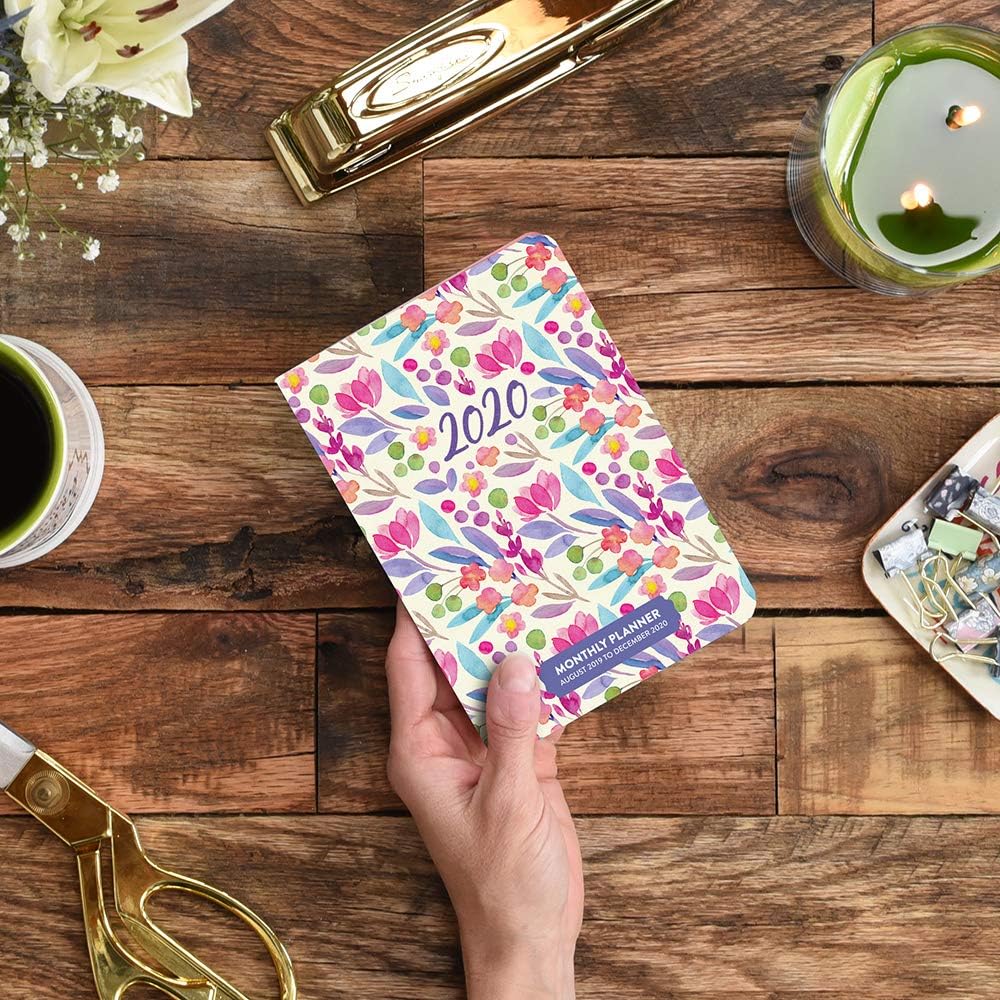 Orange Circle Studio 2020 Monthly Pocket Planner, Bold Blossoms : Office Products