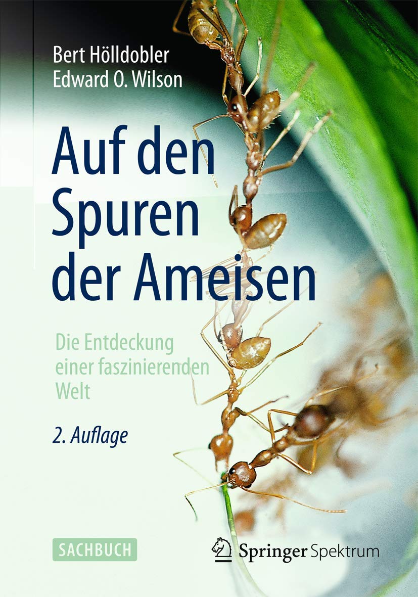 Auf Den Spuren Der Ameisen Die Entdeckung Einer Faszinierenden Welt Amazon De Holldobler Bert Wilson Edward O Bucher