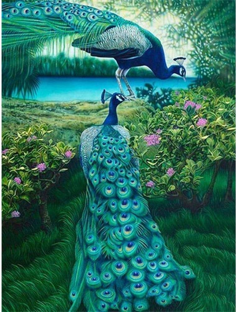 5D Diamond Painting Kits for Adults, Kids. Room Decoration, Home, Office, Gift for Her Him Two Peacocks in The Grass 11.8x15.7in 1 Pack by Cenda