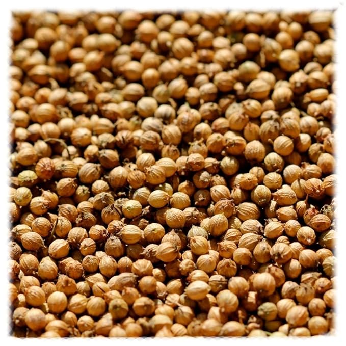 Coriander Seed 2 Lbs. Grocery & Gourmet Food