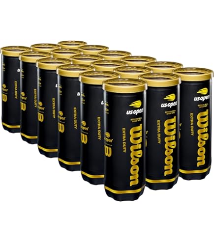 Amazon.com : WILSON US Open Tennis Balls - Extra Duty, 4 Can Pack