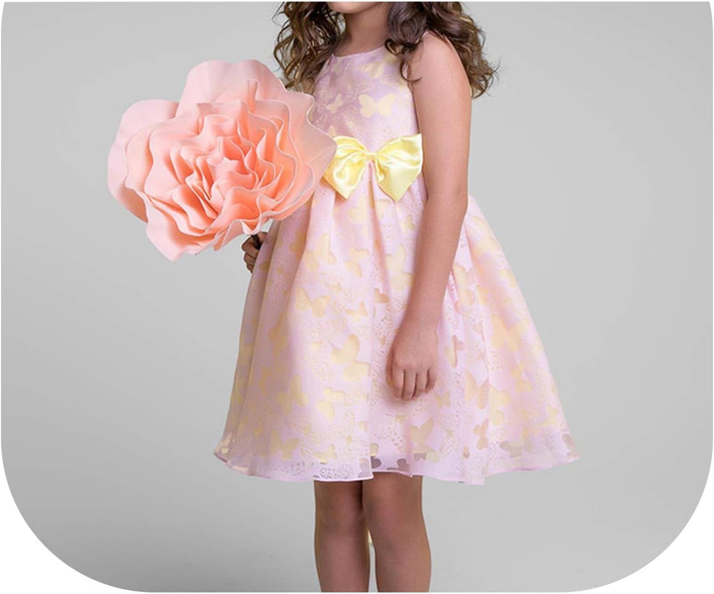 butterfly flower girl dress