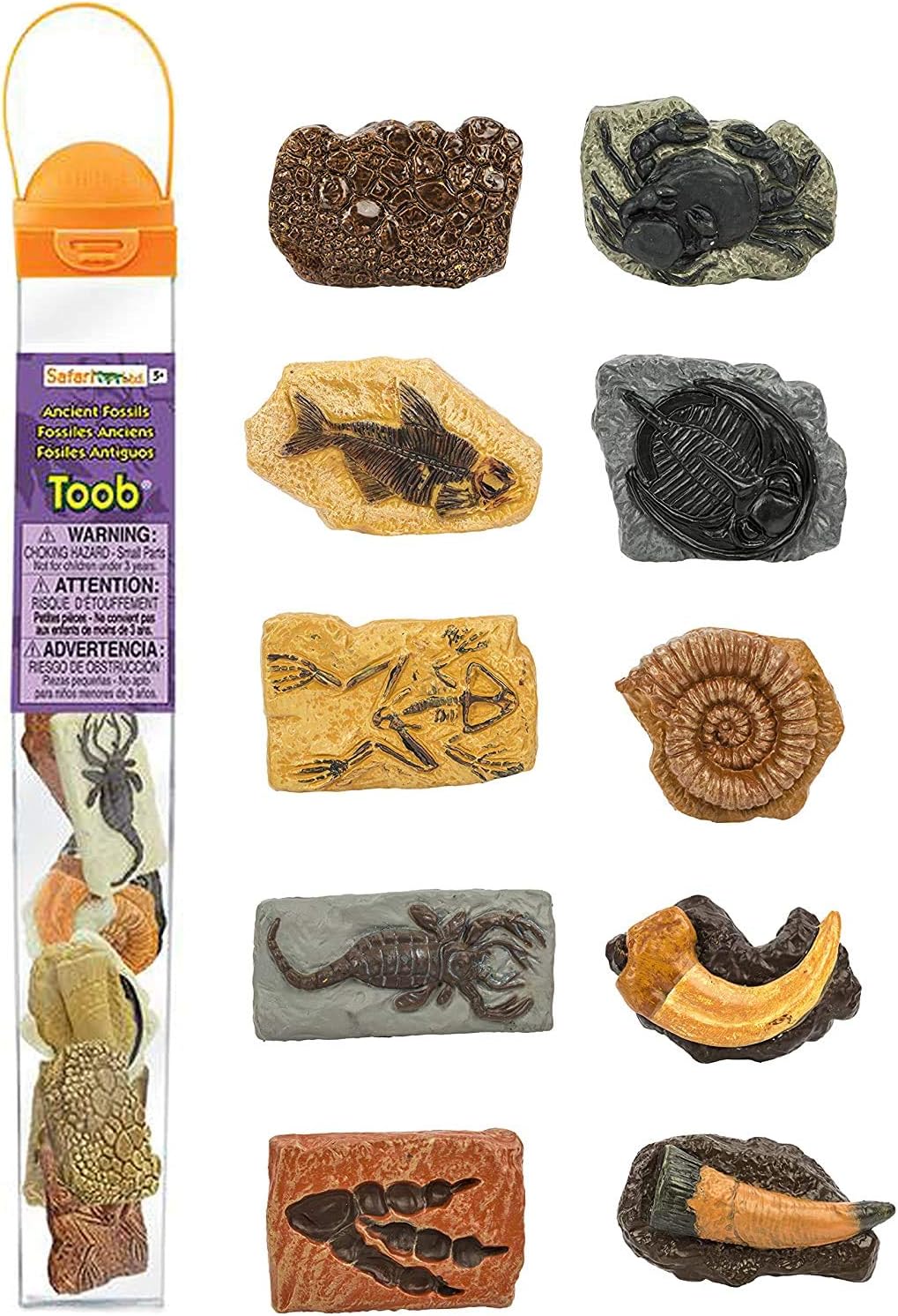 Safari 684804 Ancient Fossils