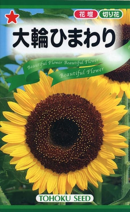 Amazon 株式会社トーホク 大輪ひまわり 花 Amazon 株式会社トーホク 大輪ひまわり 花