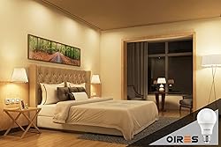 OIRES 60W Equivalent LED Light Bulb 800 Lumens A19