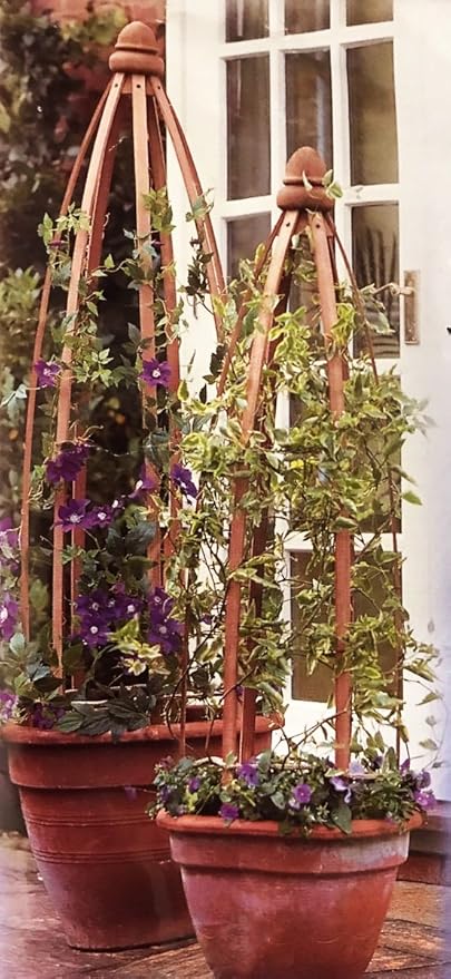 1 Obelisco columna de madera para arrampicatura Plantas 1, 3 ...