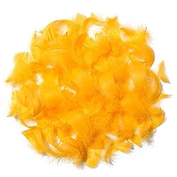 300pcs Golden Yellow Feathers 2-3 Inches Bulk