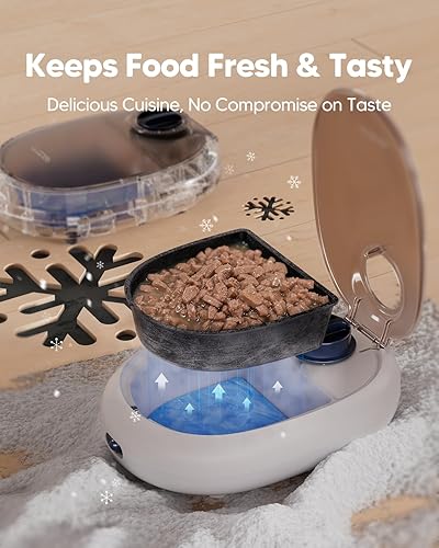 Wopet Pet Feeder Reviews WOPET Automatic Cat Feeder,48-Hour Timer