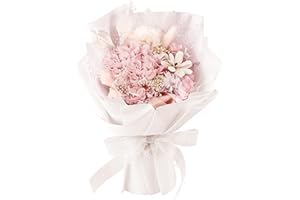 Bloom's Diary Preserved Carnation Forever Flower Bouquet, Flowers for Delivery Prime, Birthday Gifts for Women, Wife, Her (Pink)