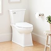 Signature Hardware 483980 Benbrook 1.28 GPF Two Piece Skirted Elongated Toilet - ADA Compliant, Elongated Seat Included - Whi