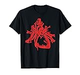 Vintage Human Heart Aorta Atrium Ventricle Medical