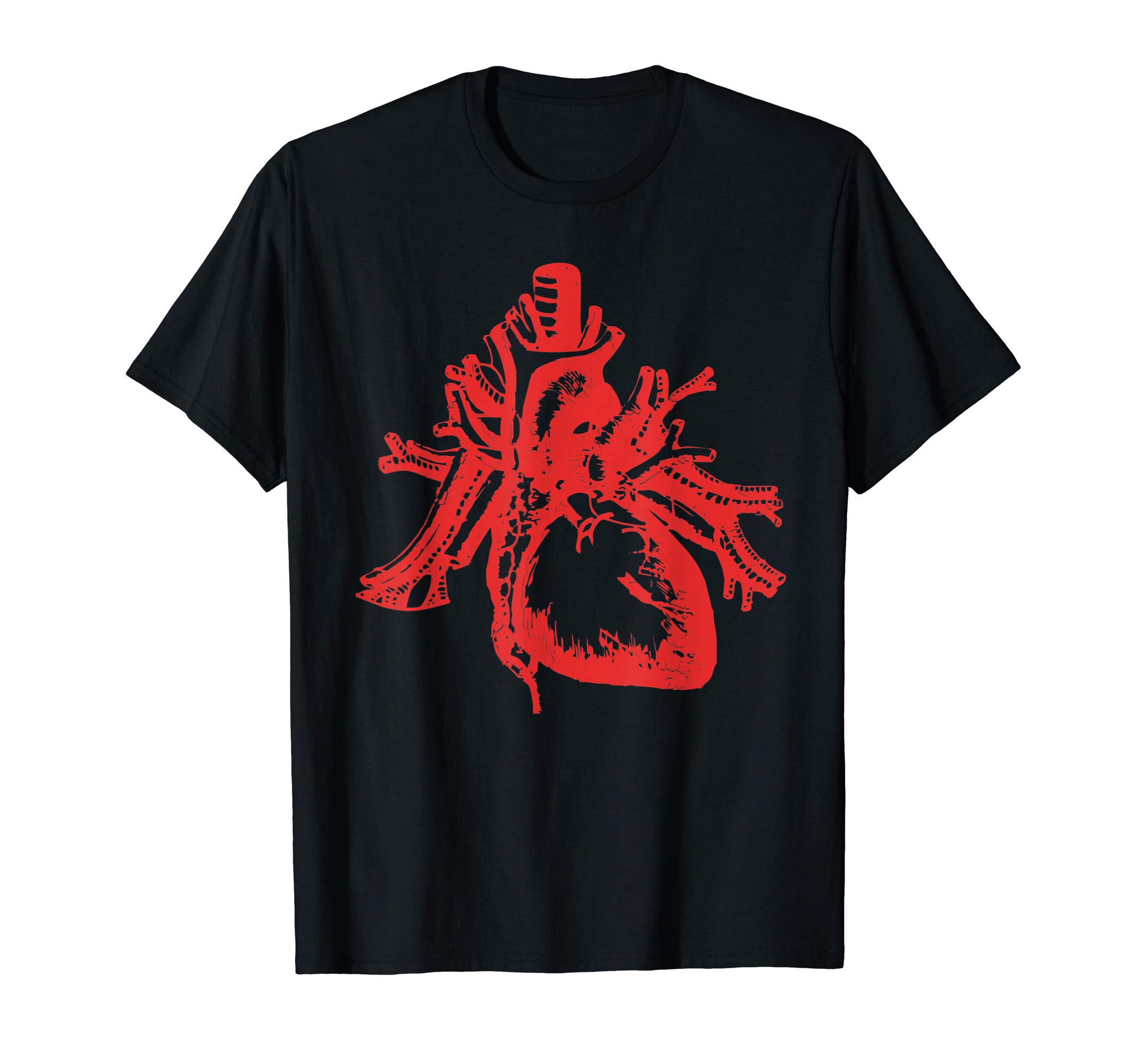 Vintage Human Heart Aorta Atrium Ventricle Medical