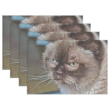Amazon Com Rh Studio Place Mats Breed Cat Cat Thoroughbred