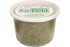 from The Field | Fine Ground Stalkless Catnip | Premium USA-Grown Catnip for Toys & Playtime | Fresh, Potent, Non-Toxic, Eco-Friendly | Safe for Kittens & Cats | Resealable 3.5 oz Tub