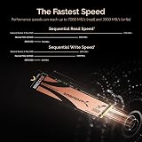 SABRENT M.2 NVMe SSD 500GB Gen4 7000MB/s PCIe 4.0 Rocket 4 Plus view 7
