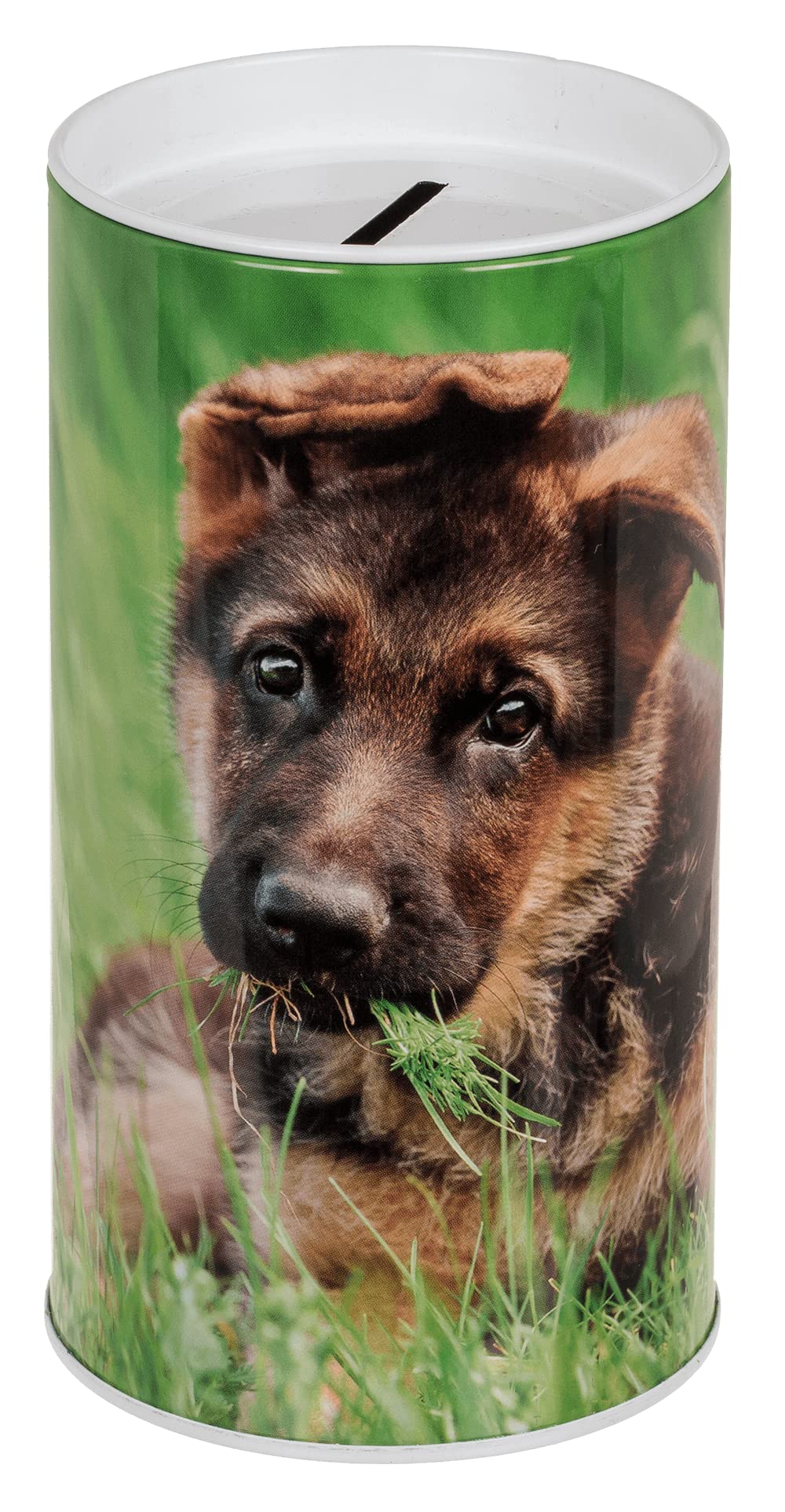 makio Children's Tin Piggy Bank Puppies Dogs and Cats. Original Tin Piggy Banks with Lids. Cheap Tin Piggy Bank for Children That Can Also Be Used as a Pencil Jar.