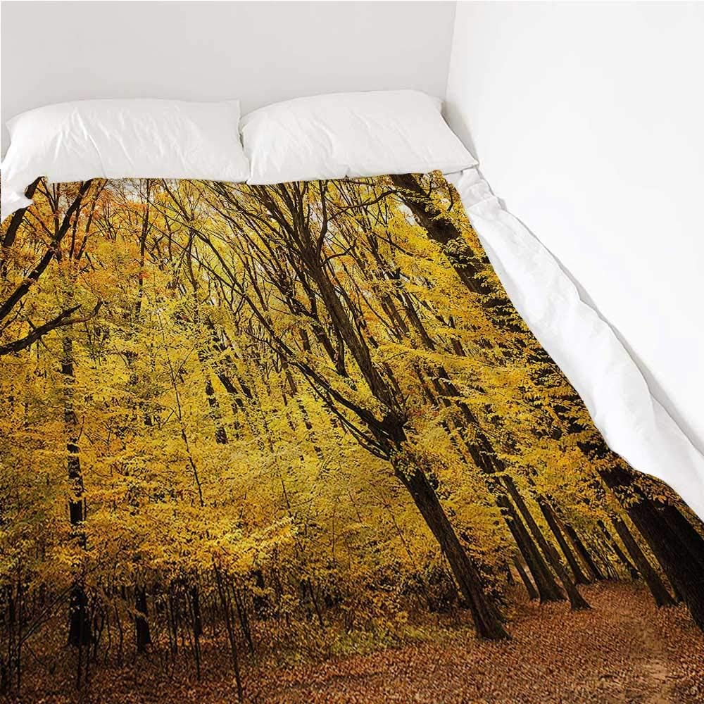 Breathable Blanket Fall, Autumn in Nature Theme Home Decor