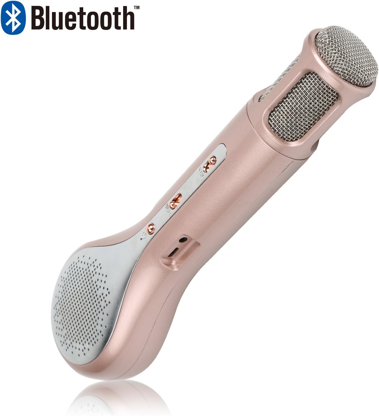 Portable Wireless Karaoke Microphone,Mini Handheld Cellphone Karaoke Player,Built-in Bluetooth Speaker,Karaoke Machine for Kids,Home KTV