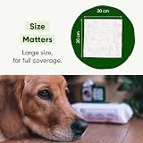 Beco Dog Wipes 80 Count Coconut Scent Plant-Based Grooming Wipes view 6