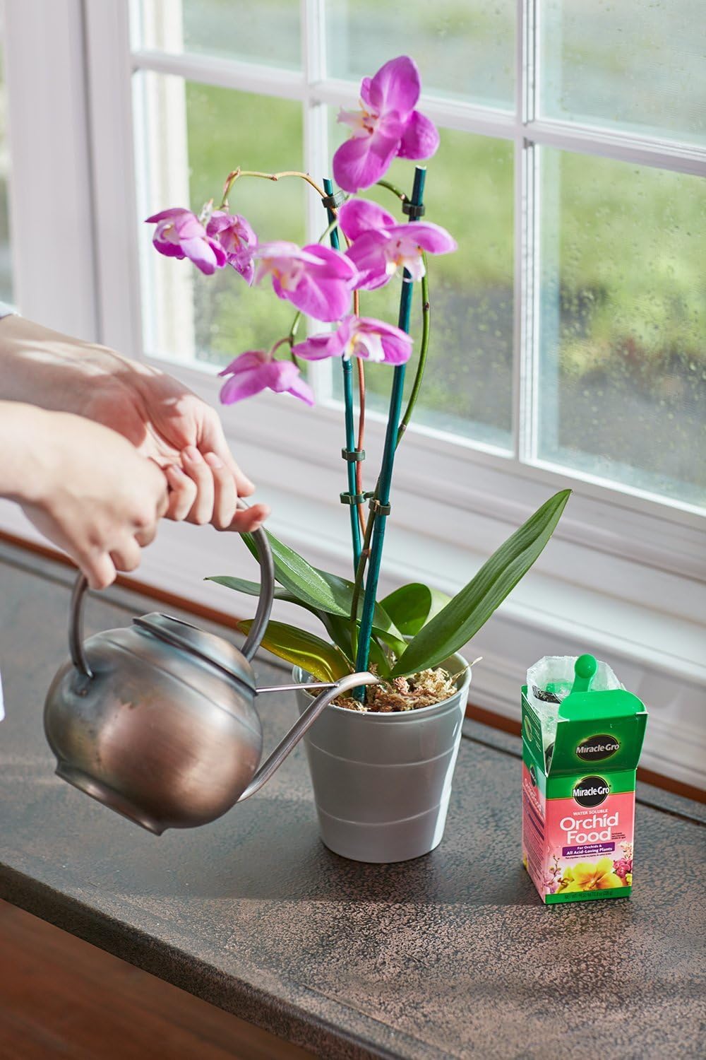 Miracle-Gro Water Soluble Orchid Food, 8 oz. : Fertilizers : Garden & Outdoor