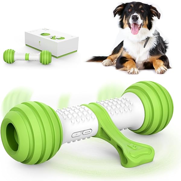 dog training puzzles
