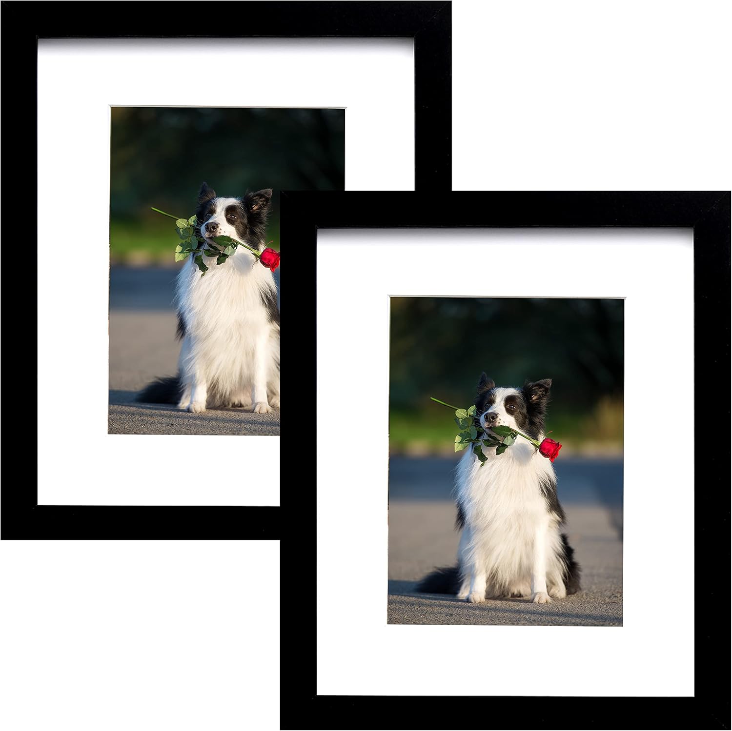 Photo Albums, Frames & Accessories - PEALSN 8x10 Picture Frame Set of 2, Made of High Definition Real Glass, Display 5x7 with Mat or 8x10 Without Mat, Photo Frames for Wall Mounting or Table Top Display, Black