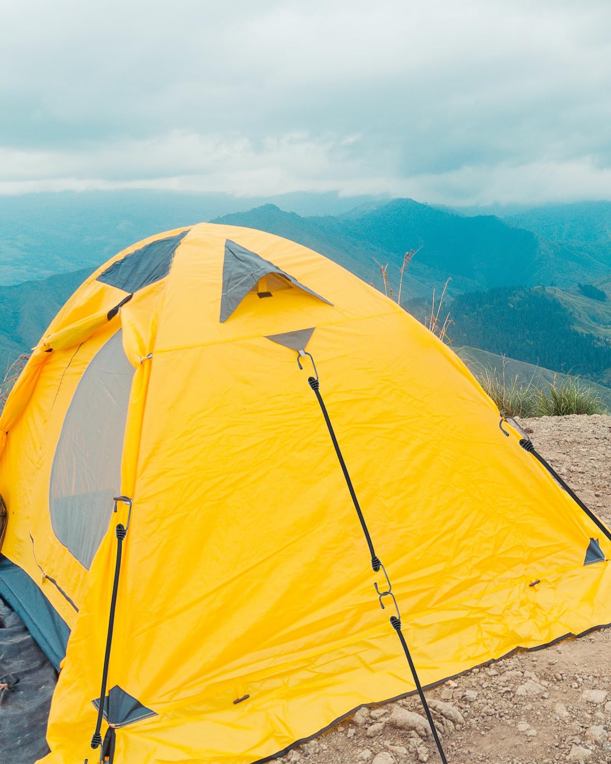 View 4