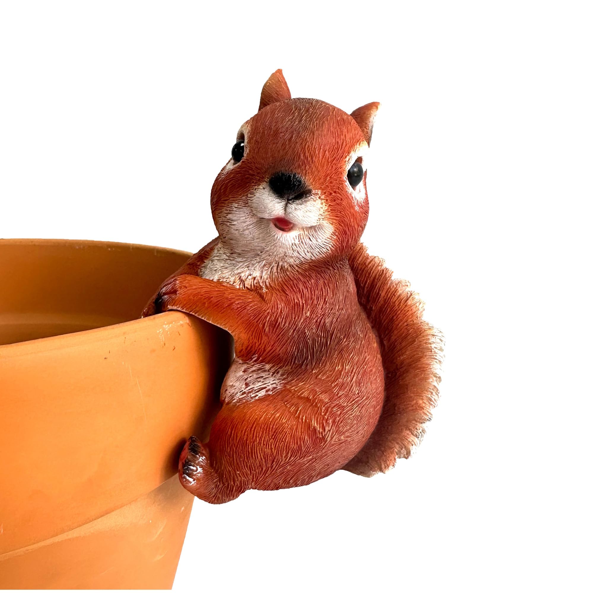 Wrenbury Red Squirrel Garden Ornament - Plant Pot Hanger - 15cm Weatherproof Resin Figurine - Sammy the Red Squirrel Gifts for Women