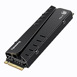 fanxiang S770 1TB NVMe M.2 SSD for PS5 - with