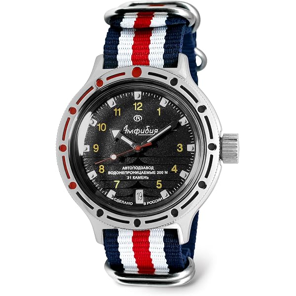 Amazon.com: Vostok Original Mens Watch Amphibia Neptune 96073A GMT