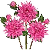 Artificial Dahlia Flowers – Set of 3 | 27.9" Tall Real-Touch Silk Dahlia Stems with Large 6.1" Blooms | Lifelike Deep Pink Faux Flowers for Home Decor, Wedding, Centerpieces & Floral Arrangements