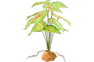Woyrise Reptile Artificial Plants for Terrarium Decor, Amphibian Habitat Decorations Bearded Dragon Tank Accessories fit Crested Gecko Leopard Lizard Chameleon Ball Python Snake Frog - Fake Caladium