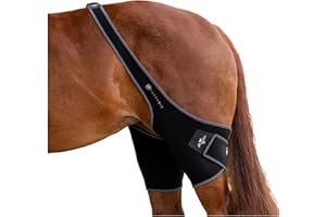 Professional's Choice Theramic Stifle Wrap | Improve Blood Circulation, Reduce Inflammation and Ease Pain | Reflecting The Natural Body Heat