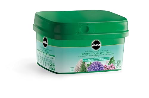 Miracle-Gro Water Soluble Evergreen & Acid-Loving Plant Food 28-10-10, 500g | Instant Formula for Dark Green Color & Plentiful Blooms | Azaleas, Hydrangeas & More