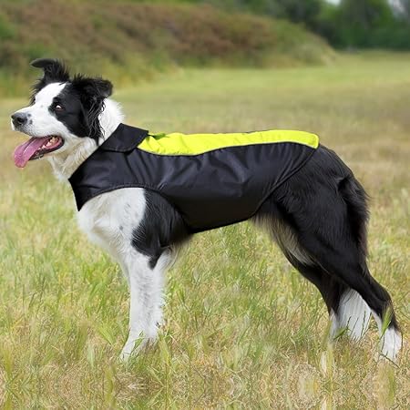 dog coat medium size